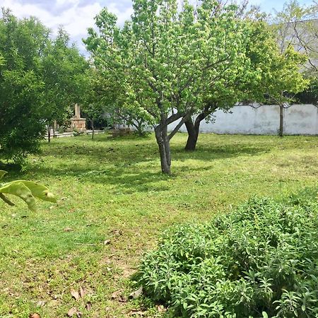 Salento Appartamenti Casalabate Εξωτερικό φωτογραφία