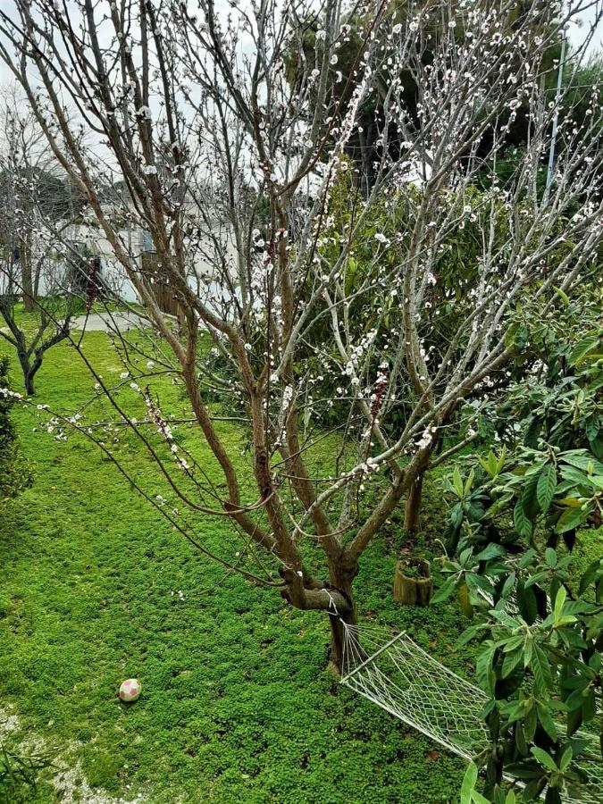 Salento Appartamenti Casalabate Εξωτερικό φωτογραφία