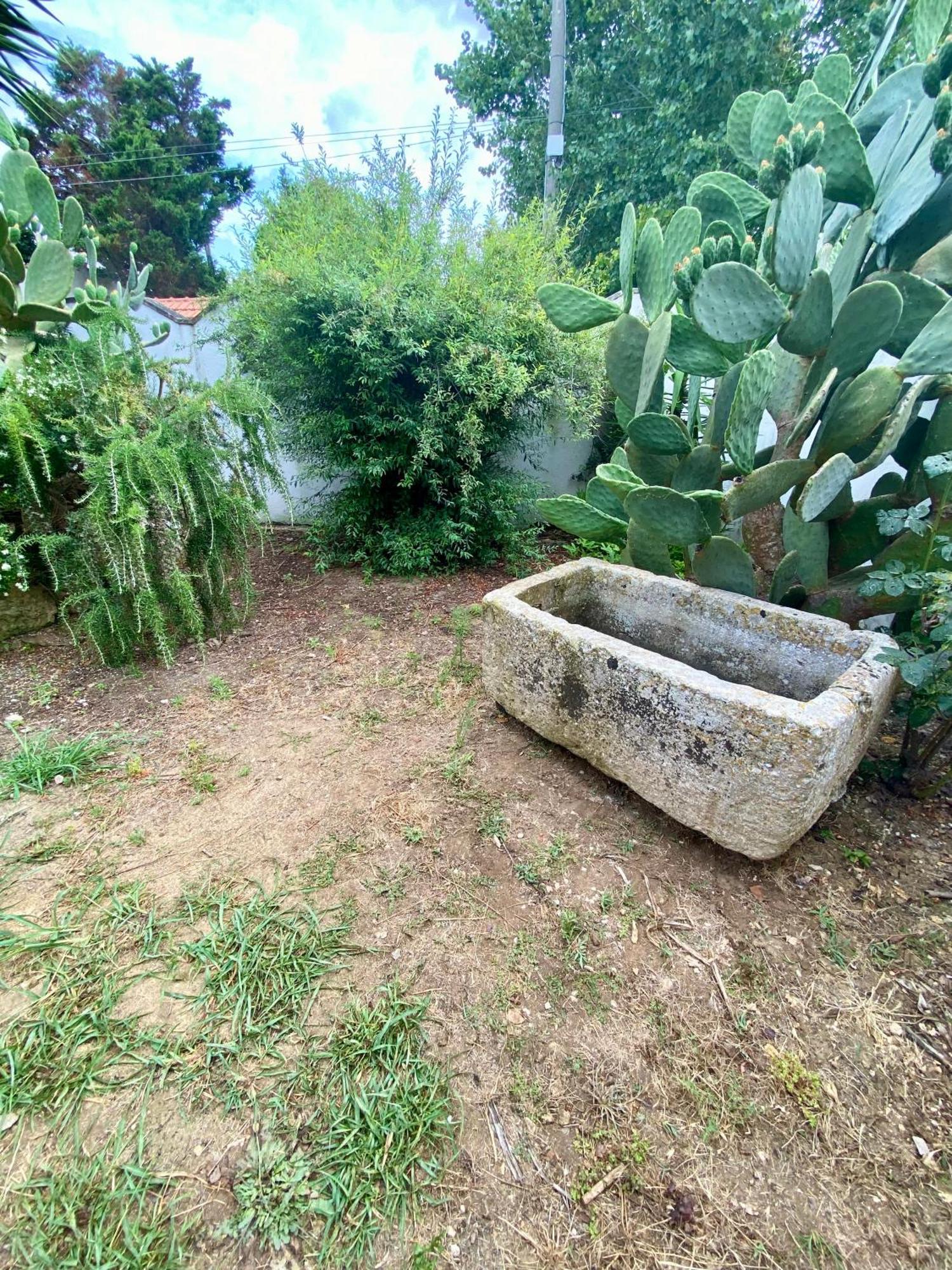Salento Appartamenti Casalabate Εξωτερικό φωτογραφία